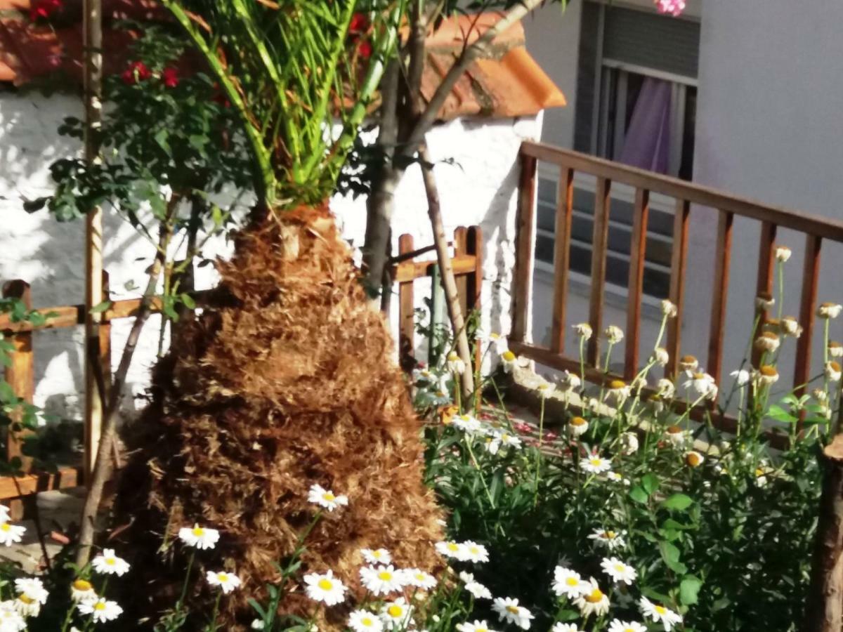 Traditional House Paschalis 카발라 외부 사진